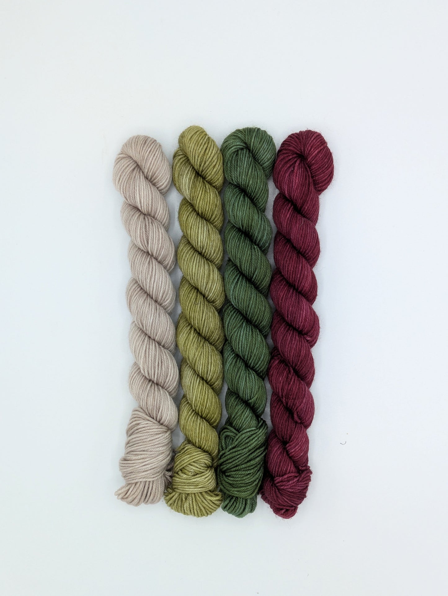 Mistletoe Mini Skein Set