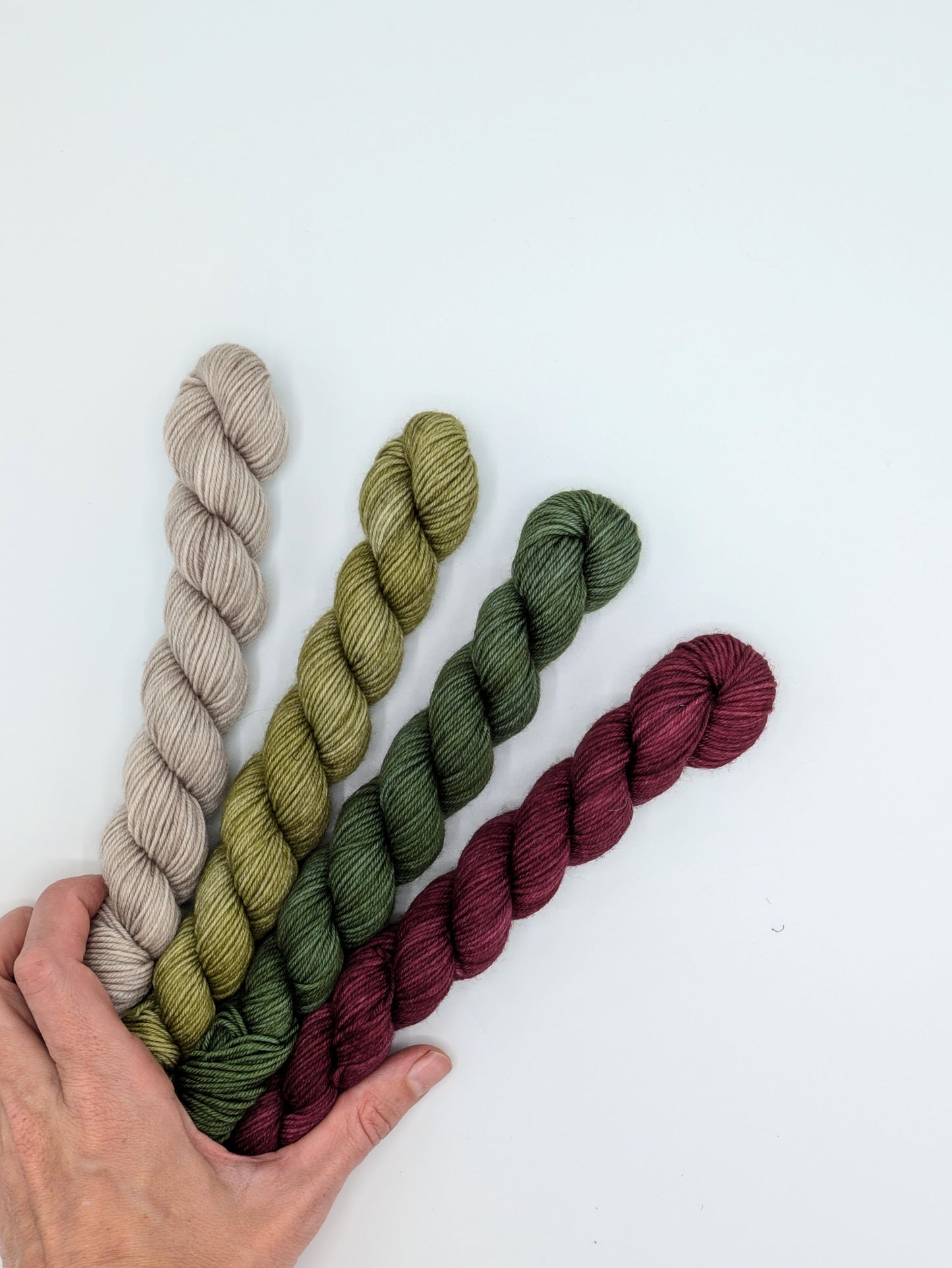 Mistletoe Mini Skein Set