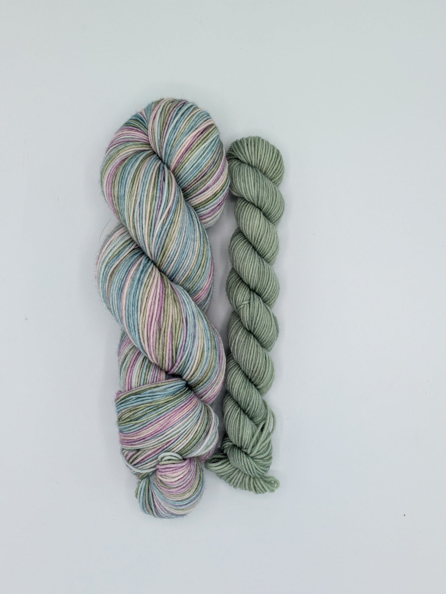 Spring Bloom