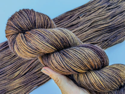 Bear Lake Yarn skein in DK weight, showing rich brown colors