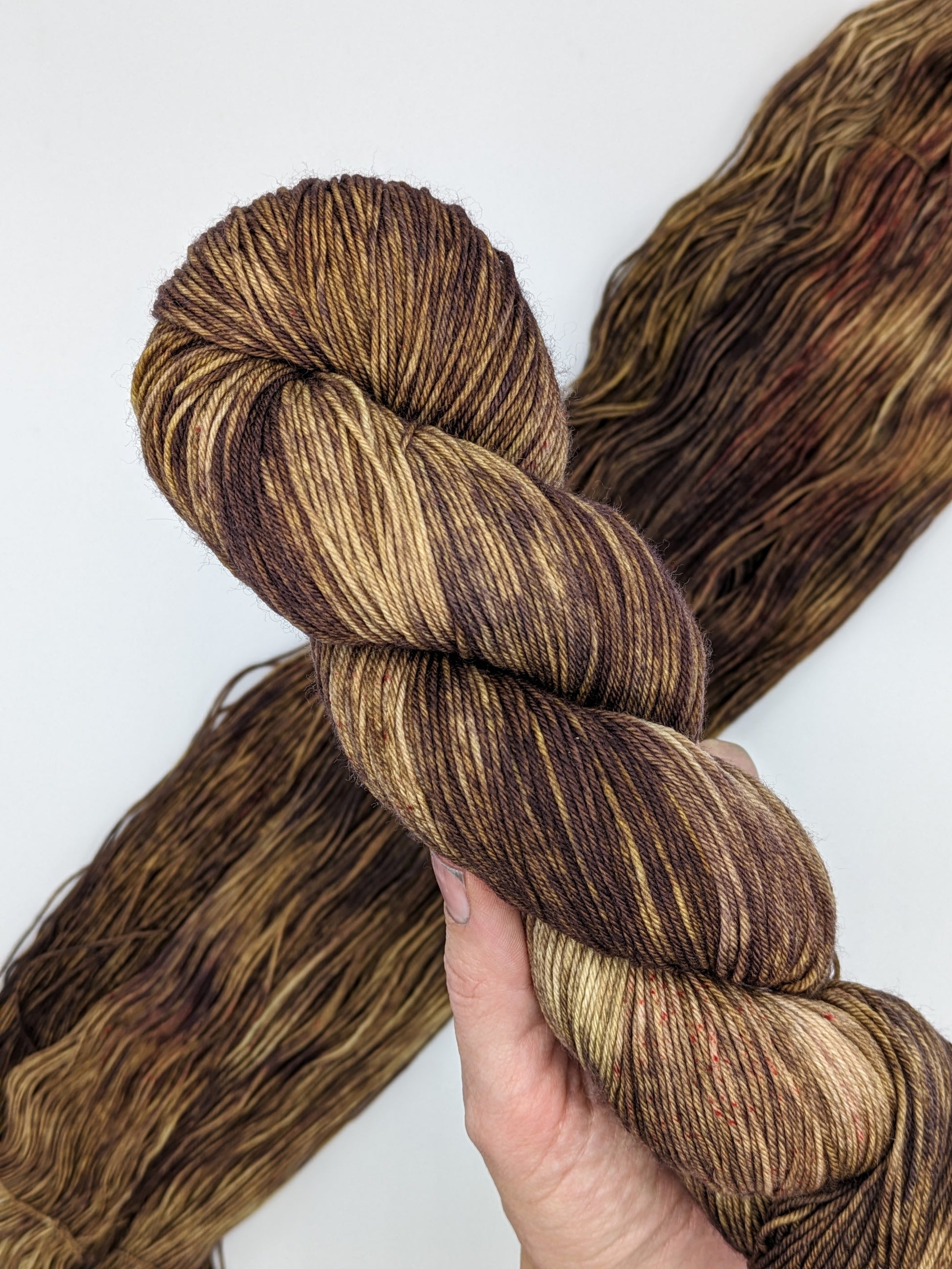 Bear Lake Yarn skein in fingering weight, showing rich brown colors